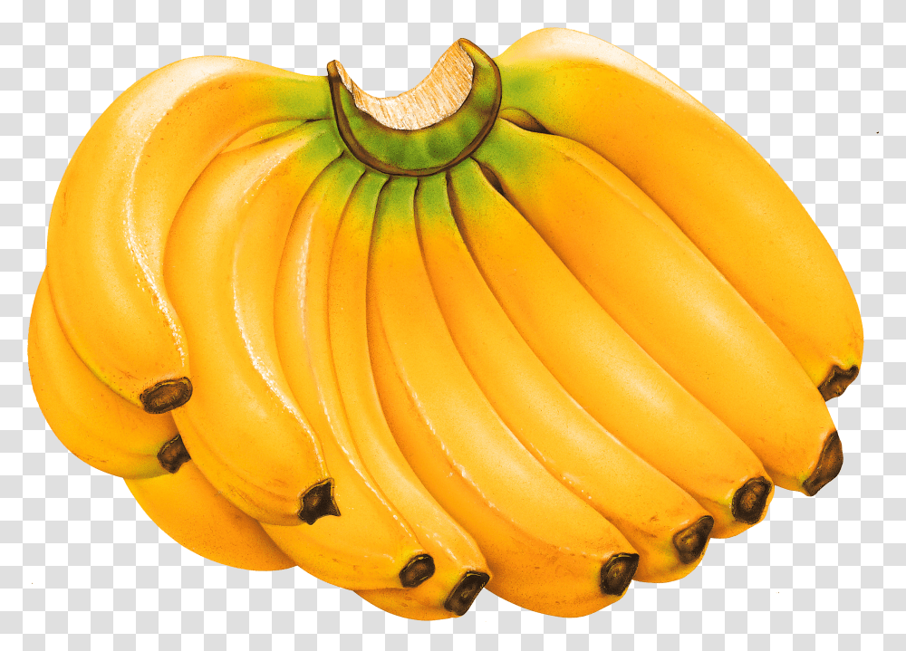 Banana Clipart Fruits Banana, Plant, Food Transparent Png