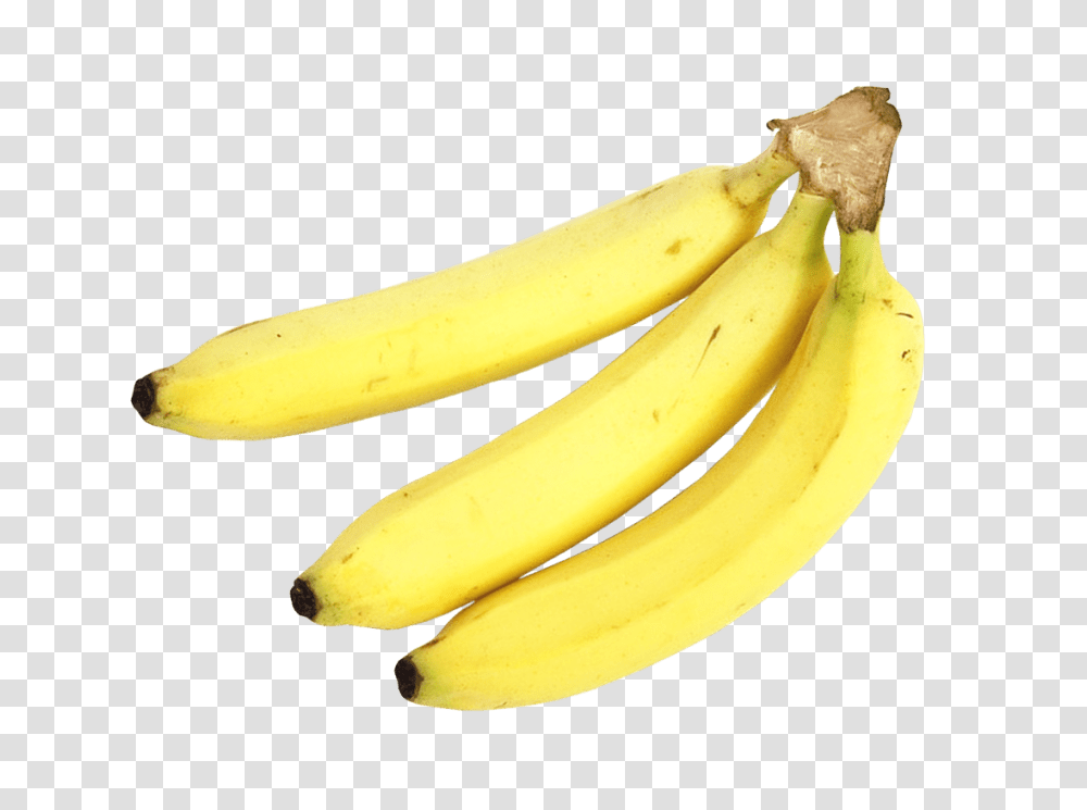 Banana, Fruit, Plant, Food, Bowl Transparent Png