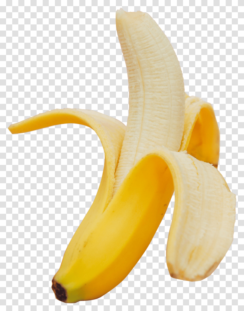 Banana, Fruit, Plant, Food, Peel Transparent Png