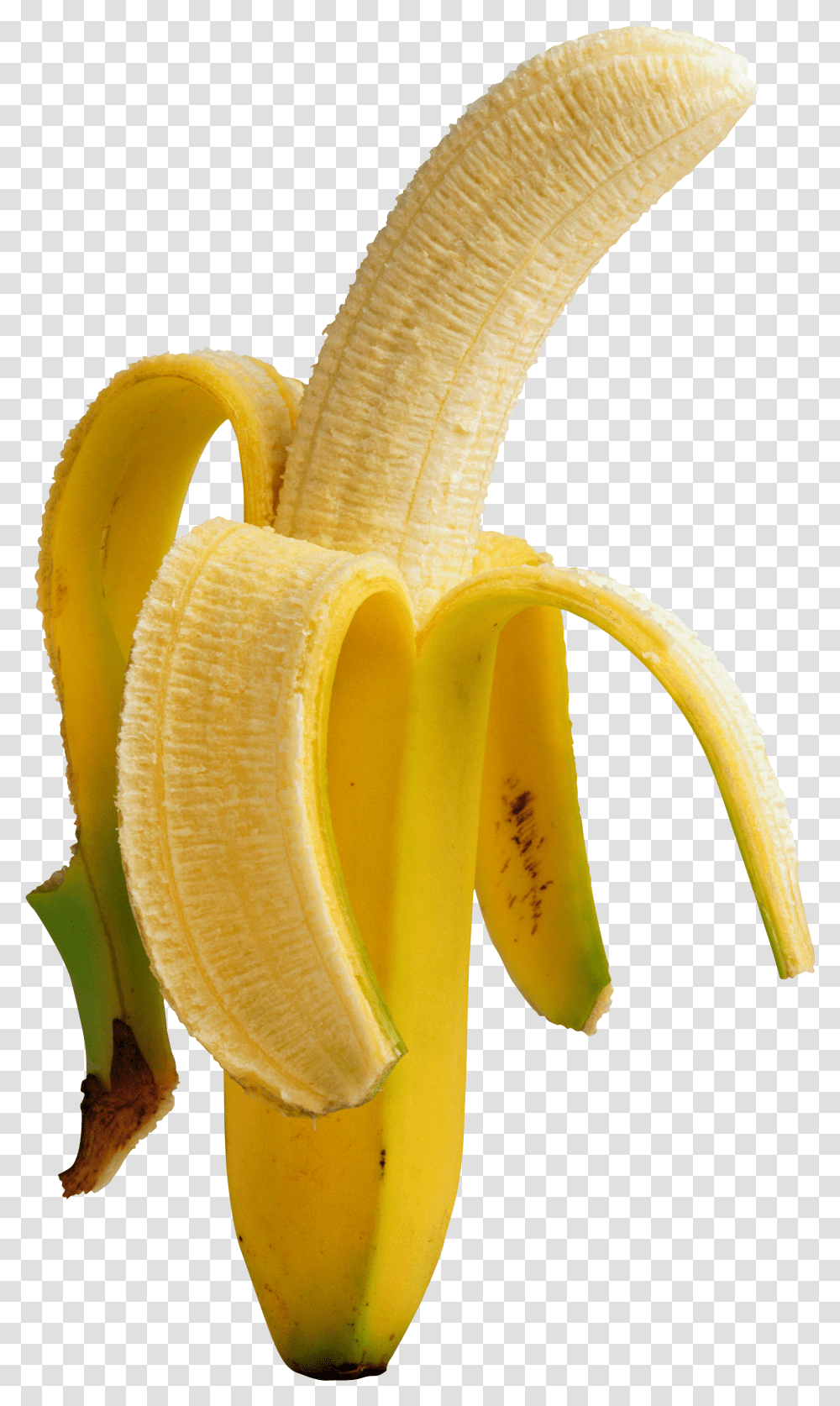 Banana, Fruit, Plant, Food, Peel Transparent Png