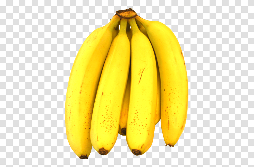 Banana, Fruit, Plant, Food Transparent Png