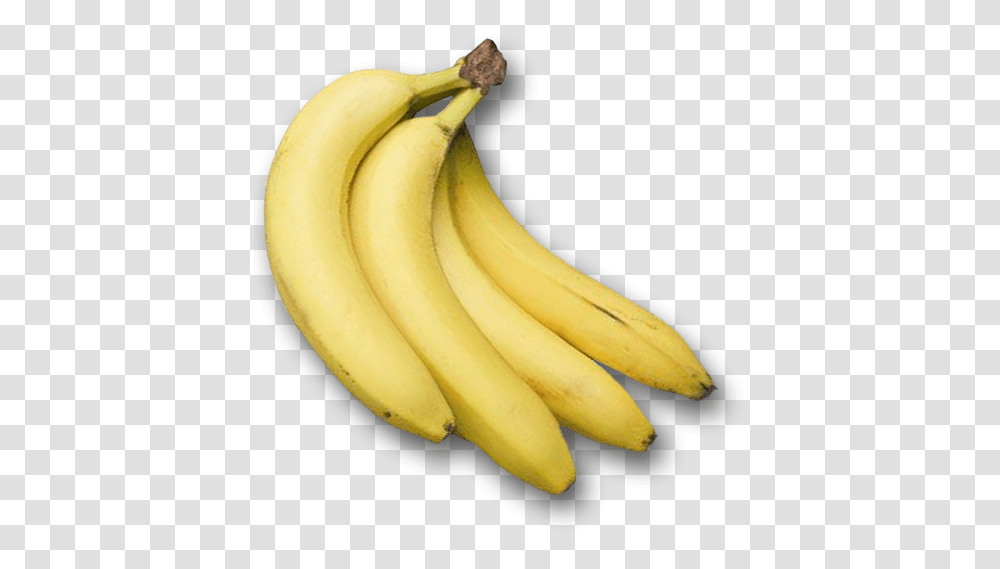 Banana, Fruit, Plant, Food Transparent Png