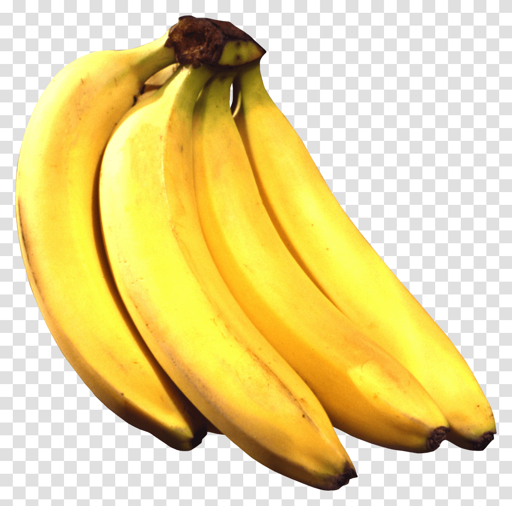 Banana, Fruit, Plant, Food Transparent Png