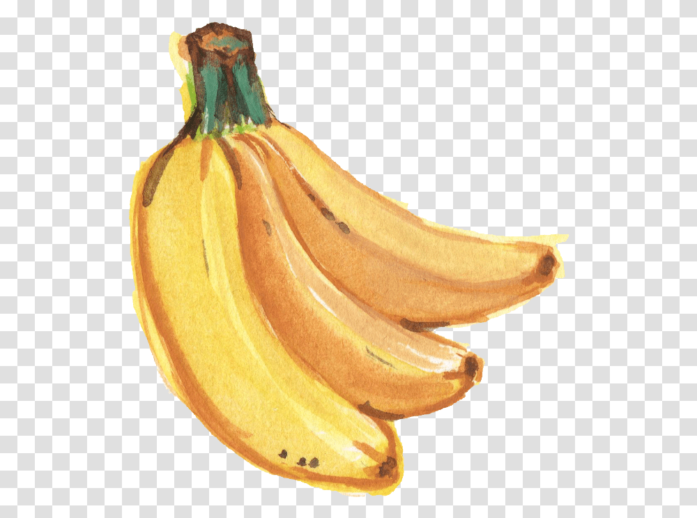 Banana Images Banana Paint Banana Watercolor, Plant, Fruit, Food, Fungus Transparent Png