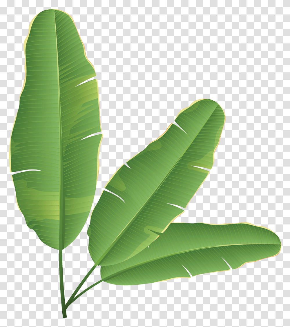 Banana Leaf Banana Bread Clip Art Banana Leaves Clip Art, Plant, Green, Vegetation, Nature Transparent Png