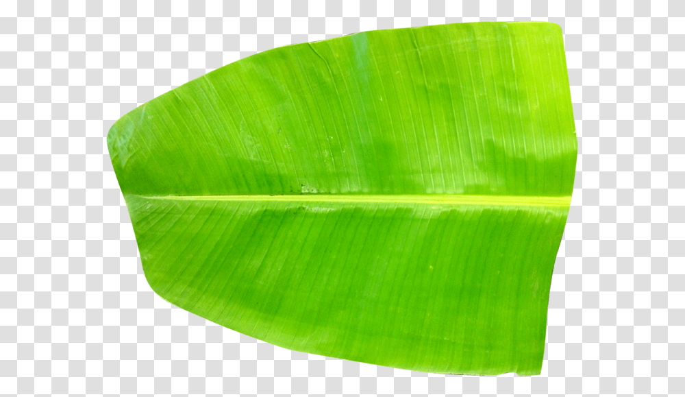 Banana Leaf Banana Leaf Images Hd, Plant, Green, Veins, Rug Transparent Png