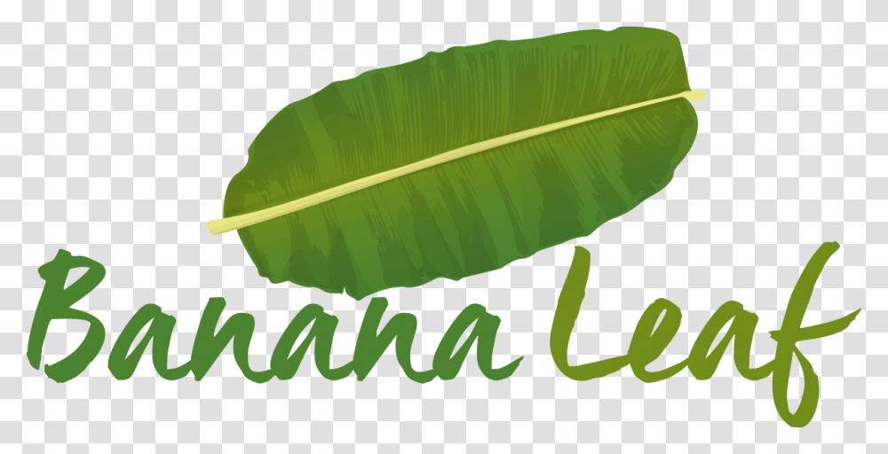 Banana Leaf Banana Leaf Logo, Plant, Fern Transparent Png