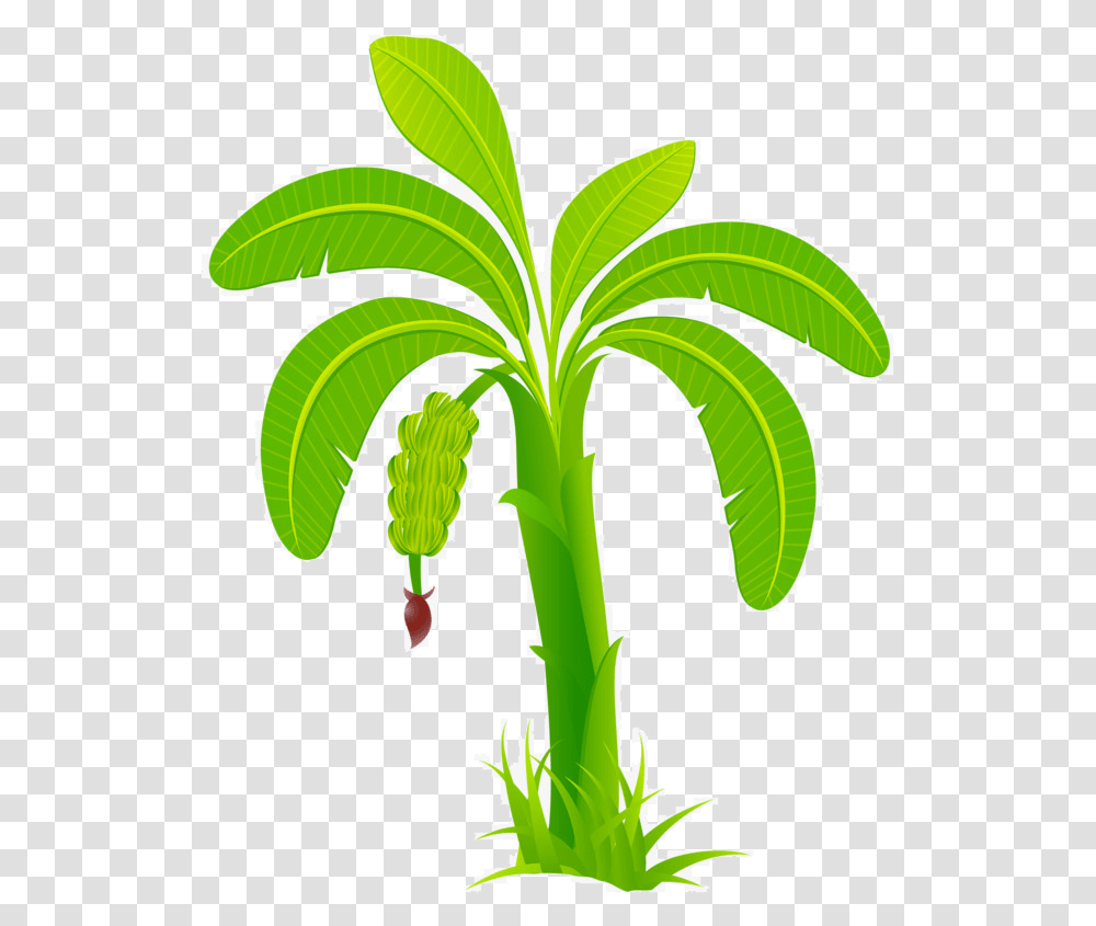 Banana Leaf Business Banana Tree Clipart, Plant, Green, Flower, Blossom Transparent Png