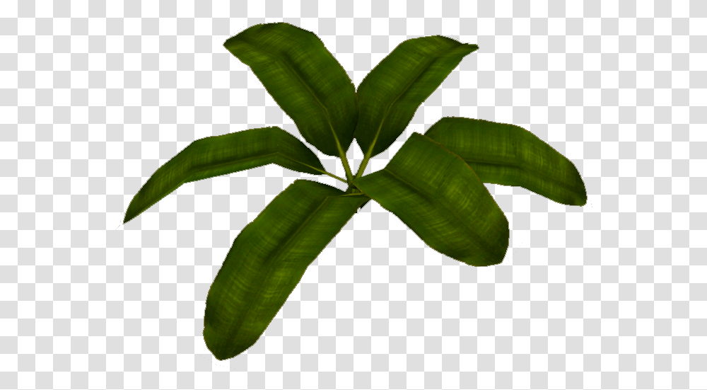 Banana Leaf Clipart Herbaceous Plant, Green, Annonaceae, Tree, Vegetation Transparent Png