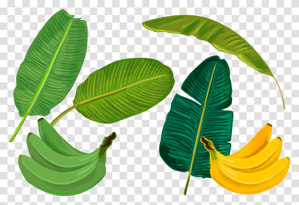 Banana Leaf Sadhya Transprent Free Banana Cartoon Leaves, Plant, Green, Flower, Blossom Transparent Png