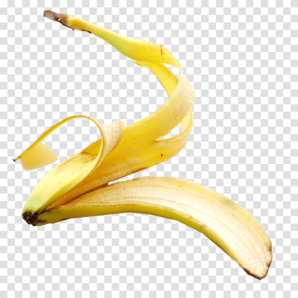 Banana Peel, Fruit, Plant, Food Transparent Png