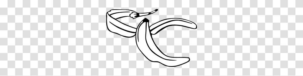 Banana Peel Vector Clip Art, Wasp, Bee, Insect, Invertebrate Transparent Png