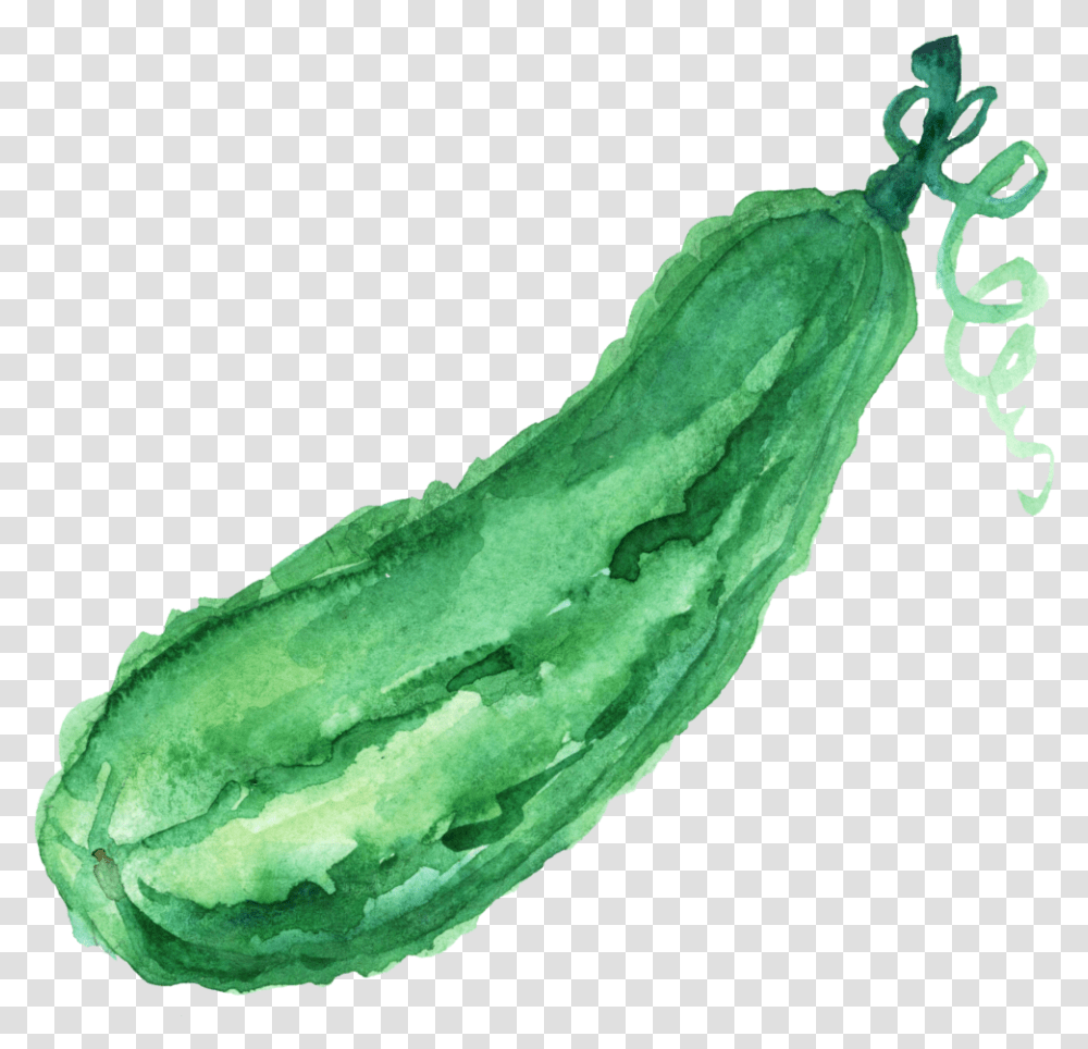 Banana, Plant, Cucumber, Vegetable, Food Transparent Png