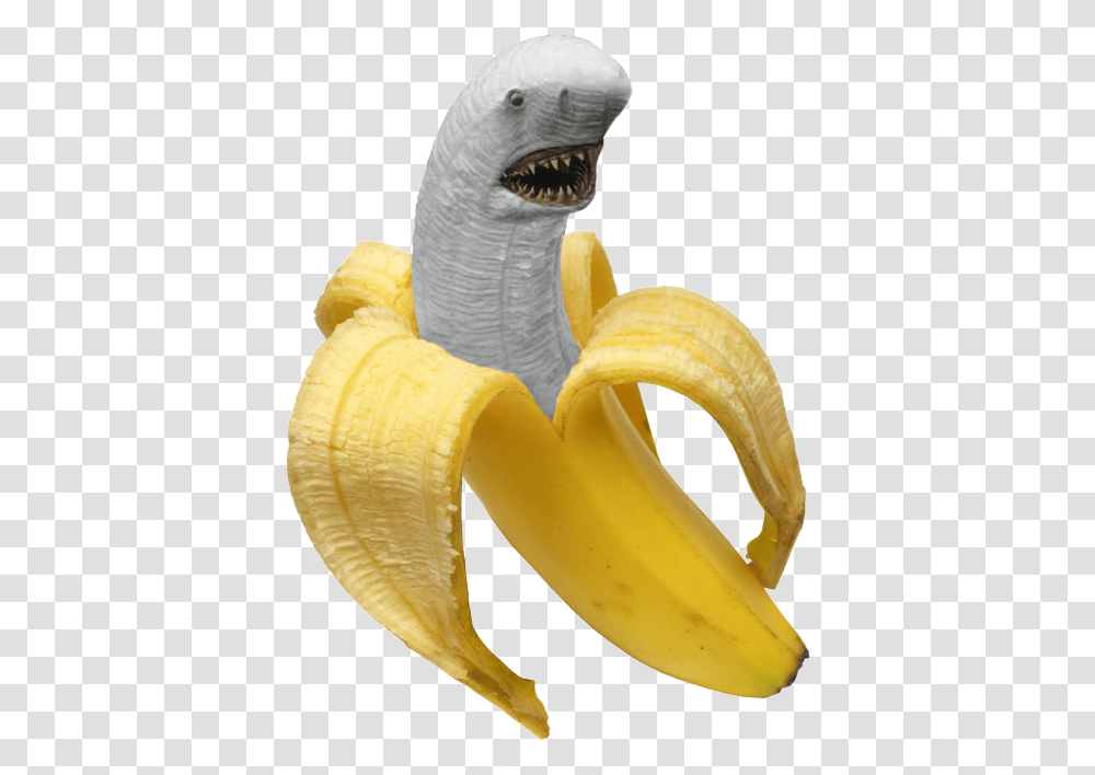 Banana Shark, Fruit, Plant, Food, Peel Transparent Png