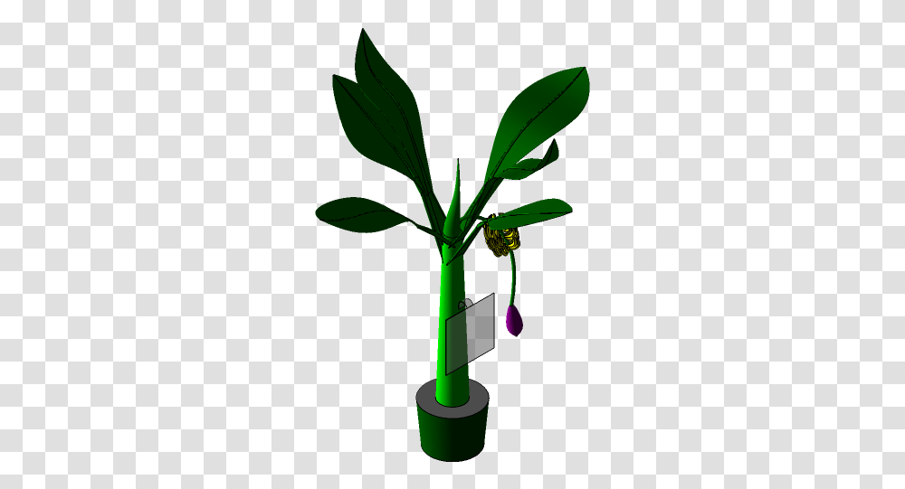 Banana Tree 3d Cad Model Library Grabcad Illustration, Plant, Leaf, Green, Flower Transparent Png