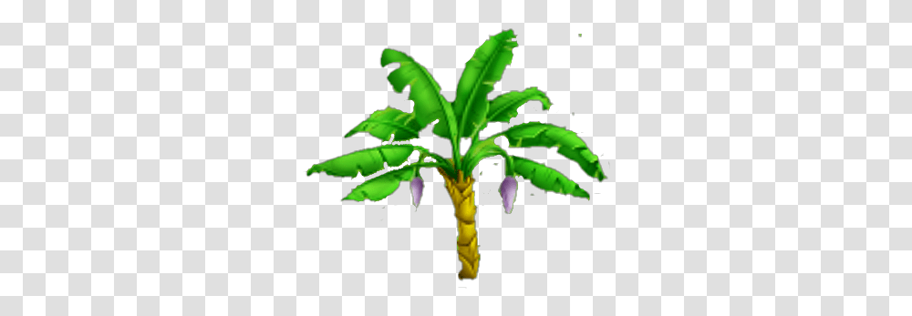 Banana Tree Banaana Tree Hd, Plant, Leaf, Green, Palm Tree Transparent Png