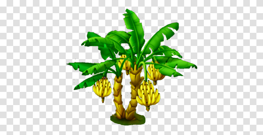 Banana Tree Banana Tree, Plant, Fruit, Food, Leaf Transparent Png