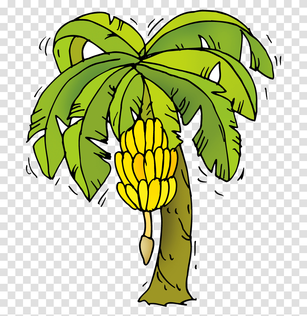 Banana Tree Cartoon Banana Tree Clipart, Plant, Fruit, Food Transparent Png