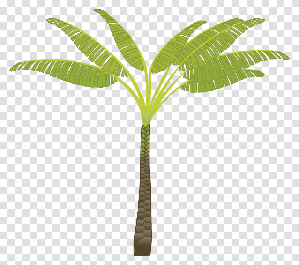 Banana Tree Cartoon, Plant, Green, Palm Tree, Arecaceae Transparent Png