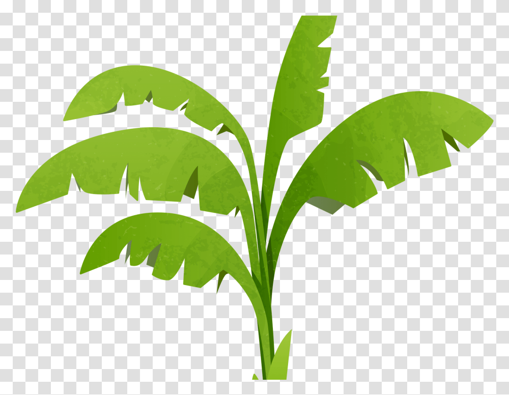 Banana Tree Clipart Download Banana Tree Vector, Leaf, Plant, Green, Vase Transparent Png