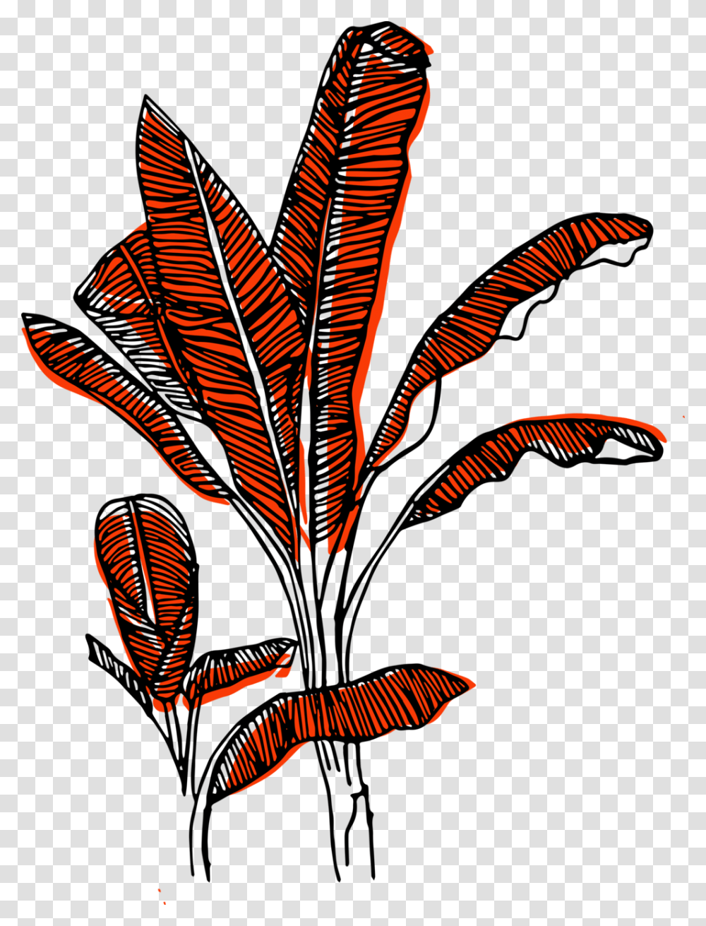 Banana Tree Clipart Illustration, Ornament, Pattern, Fractal, Flame Transparent Png