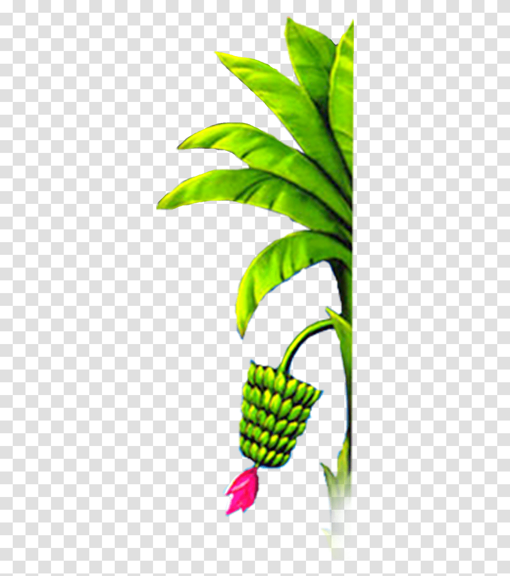 Banana Tree Design Elements Free Marriage Wedding Banana Tree, Plant, Leaf, Aloe, Jar Transparent Png