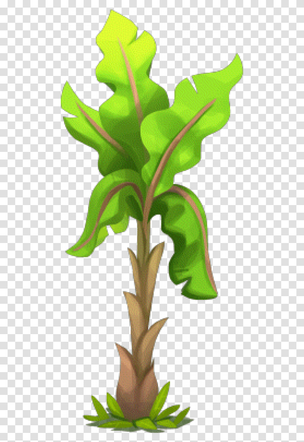 Banana Tree Images Banana Tree Hd, Plant, Flower, Blossom, Acanthaceae Transparent Png