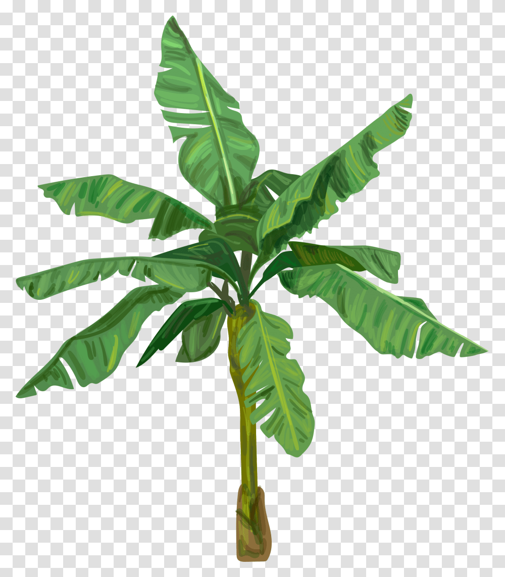 Banana Tree, Leaf, Plant, Vegetation, Tobacco Transparent Png