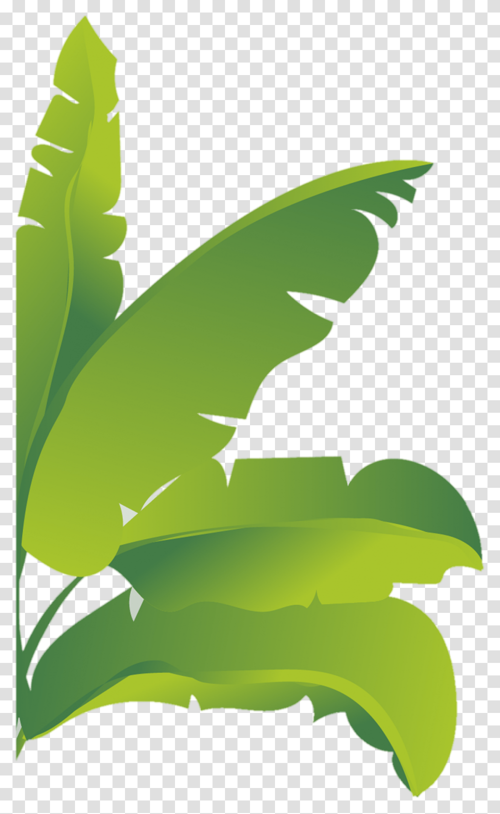 Banana Tree Photo Tree Flat Vector, Leaf, Plant, Green, Bird Transparent Png