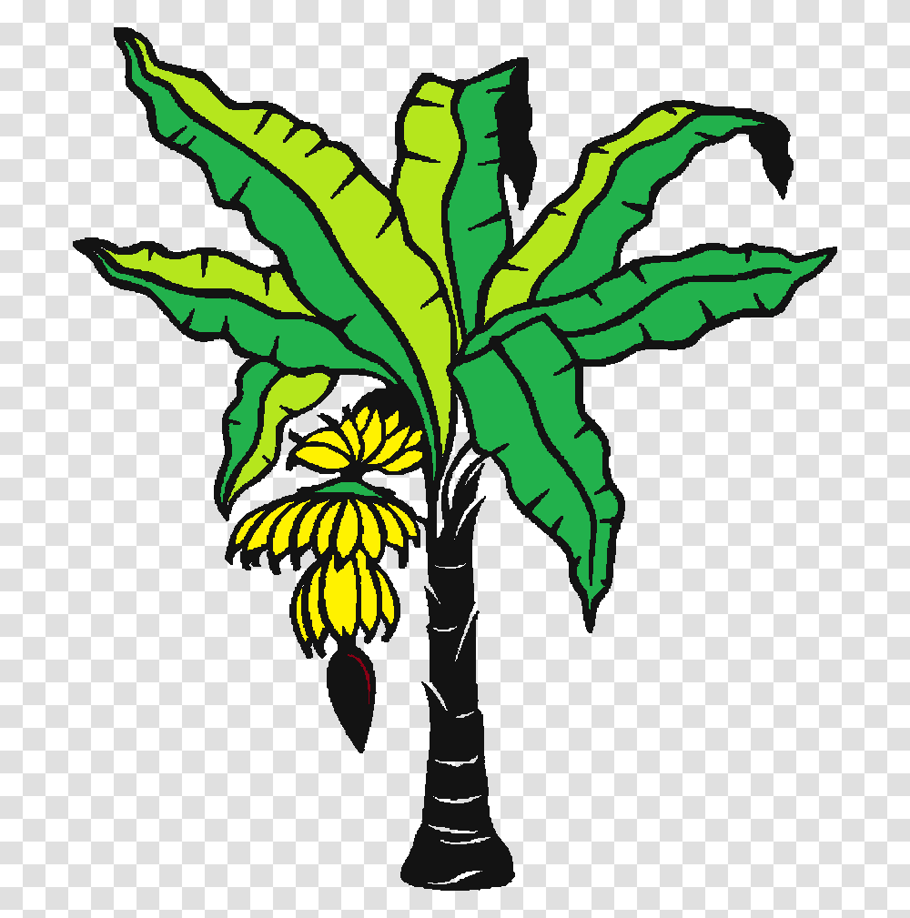 Banana Tree, Plant, Leaf, Palm Tree, Arecaceae Transparent Png