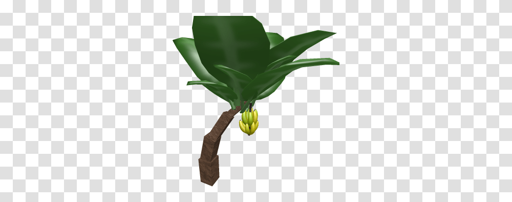 Banana Tree Roblox Palm Tree, Plant, Green, Food, Fruit Transparent Png