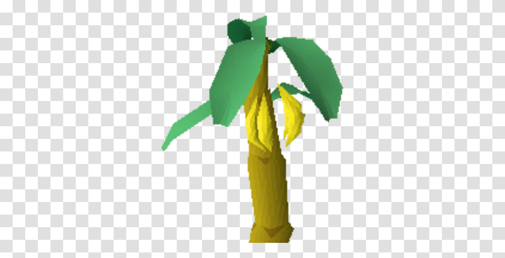 Banana Tree Tree, Plant, Leaf, Flower, Blossom Transparent Png