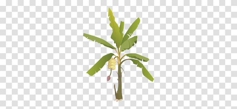 Banana Tree With Fruit Banana Tree With Fruit, Plant, Food, Annonaceae, Pineapple Transparent Png