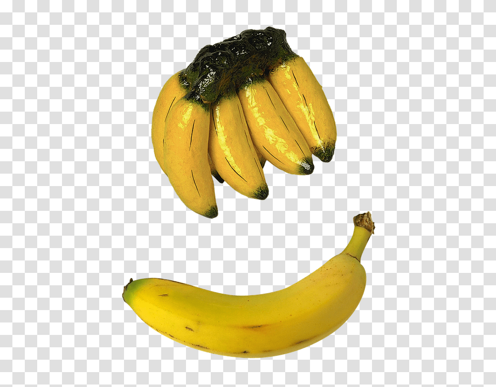 Bananas 960, Fruit, Plant, Food Transparent Png