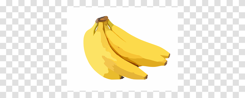 Bananas Fruit, Plant, Food, Peel Transparent Png