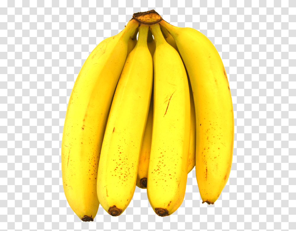 Bananas 960, Fruit, Plant, Food Transparent Png