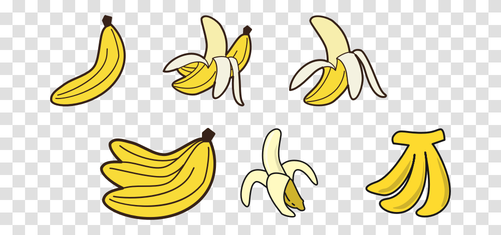 Bananas Banana Drawing, Plant, Fruit, Food Transparent Png