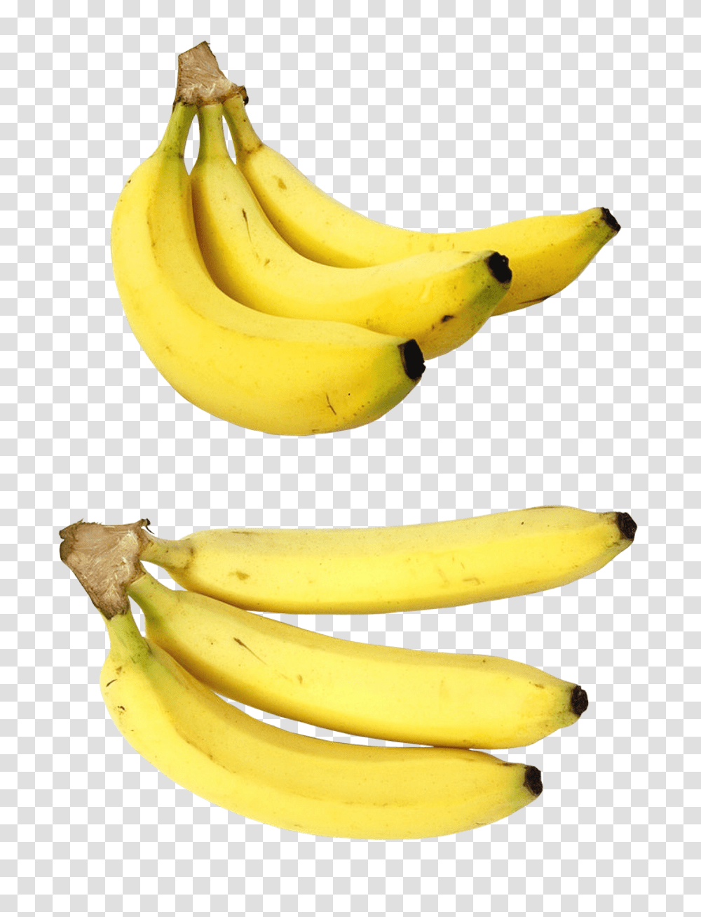 Bananas Bananas, Plant, Fruit, Food, Sweets Transparent Png