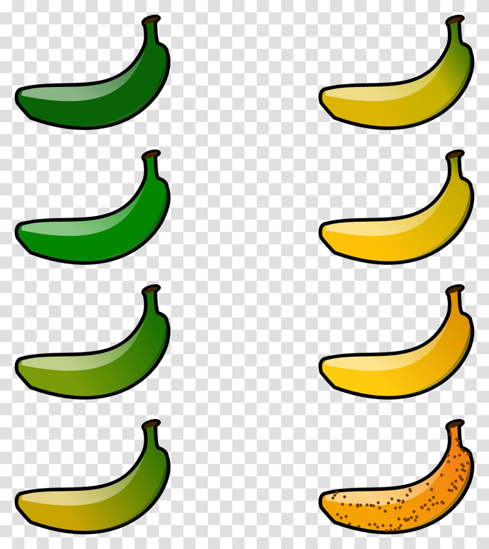 Bananas Clipart, Plant, Food, Fruit Transparent Png