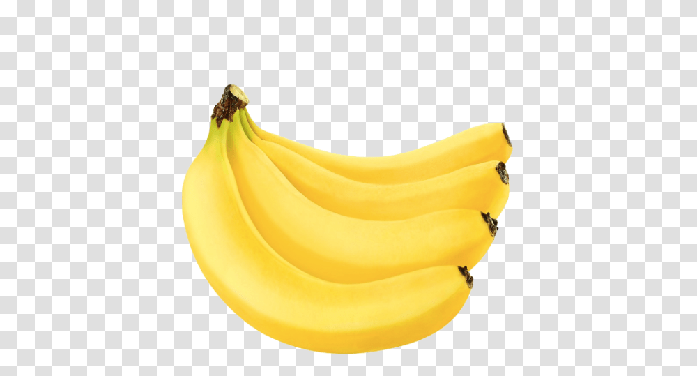 Bananas Saba Banana, Fruit, Plant, Food Transparent Png