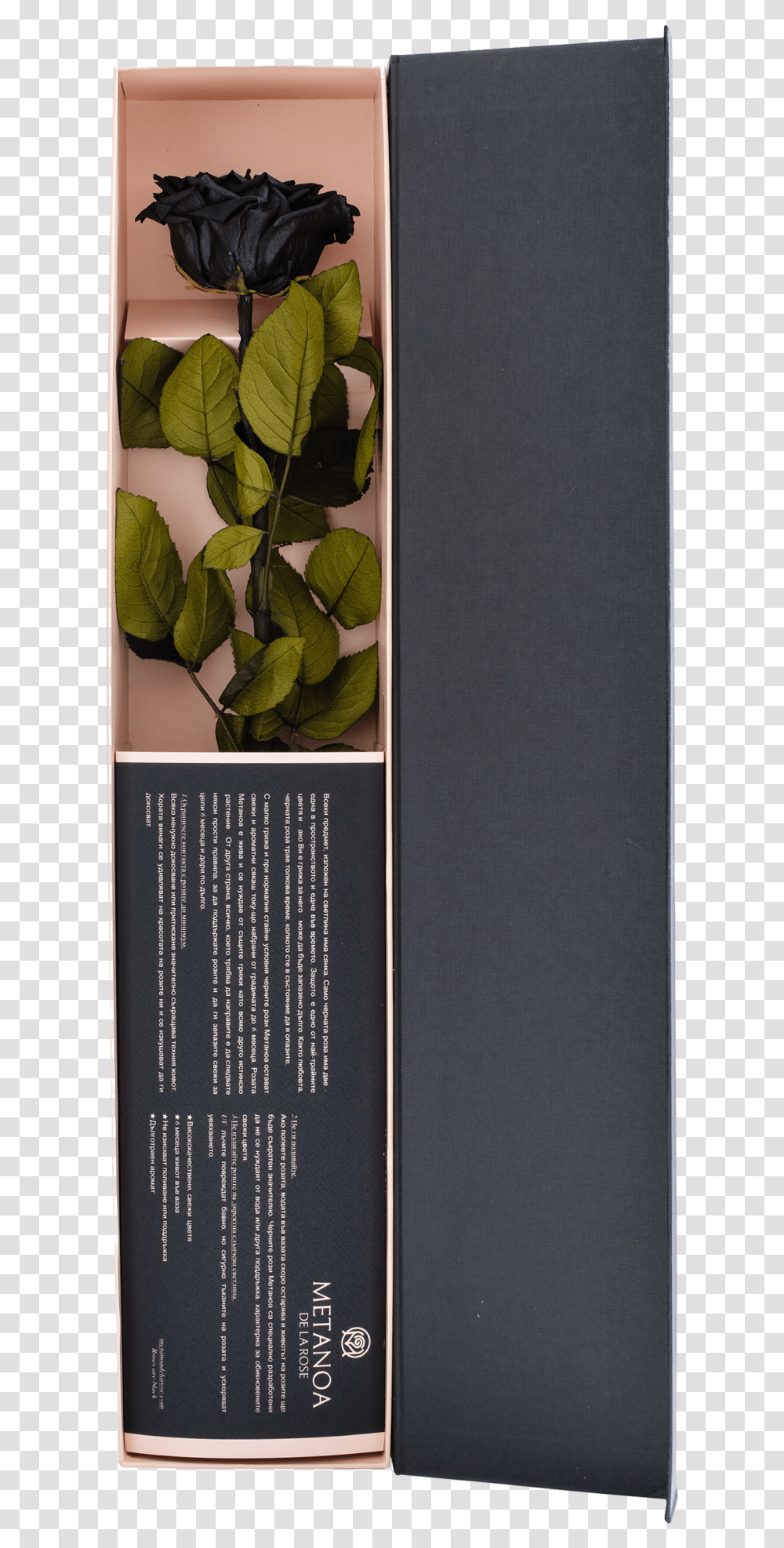Bancha, Advertisement, Poster, Plant, Leaf Transparent Png