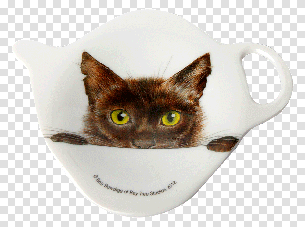 Bandeja Mini Gato Domestic Short Haired Cat, Pet, Mammal, Animal, Pottery Transparent Png
