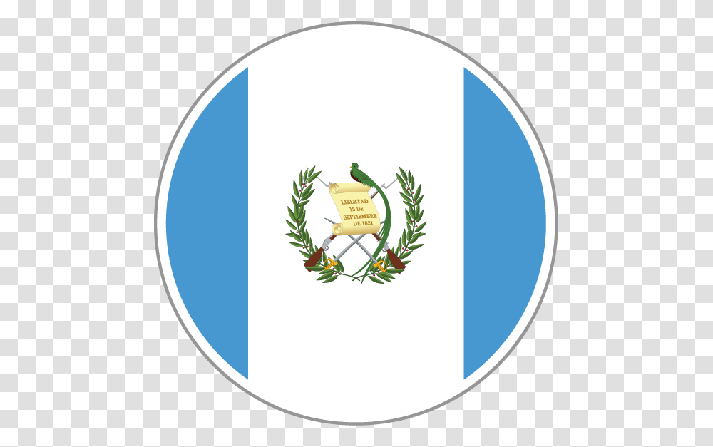 Bandera De Guatemala Actual, Plant, Tree, Conifer, Potted Plant Transparent Png