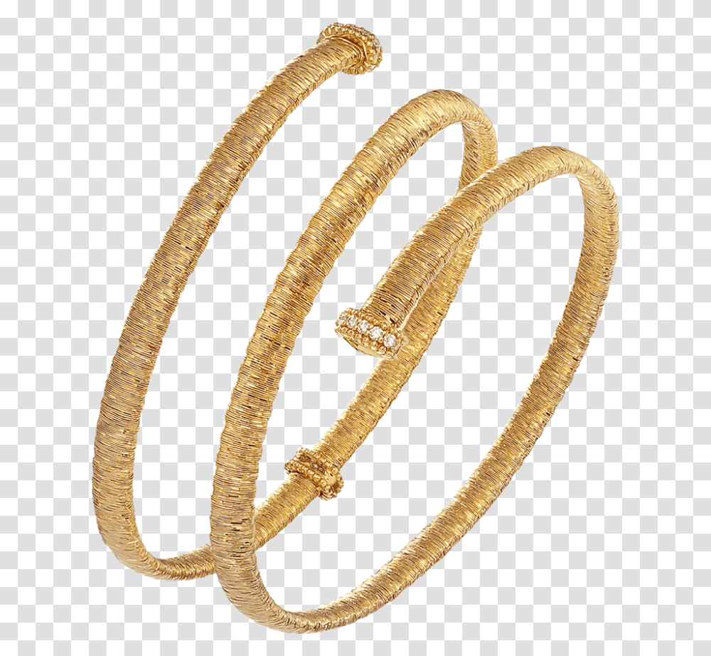 Bangle, Snake, Reptile, Animal, Accessories Transparent Png