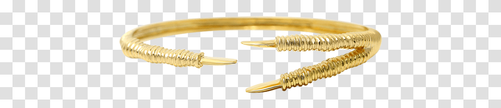 Bangle, Weapon, Ivory, Blade, Oars Transparent Png