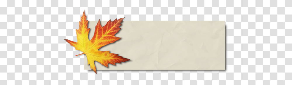 Banner Autumn Leaf Maple Images - Free Autumn Paper, Plant, Tree, Maple Leaf Transparent Png