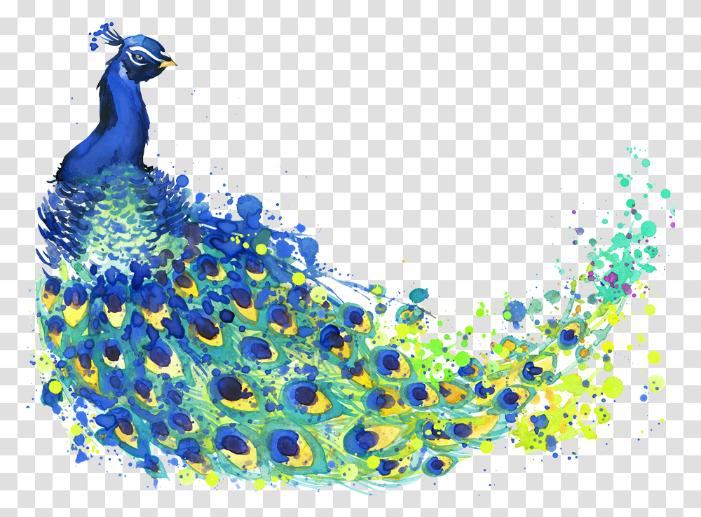 Banner Black And White Stock The Peacock Feather Peafowl Background Peacock Feathers, Bird, Animal, Jay, Blue Jay Transparent Png
