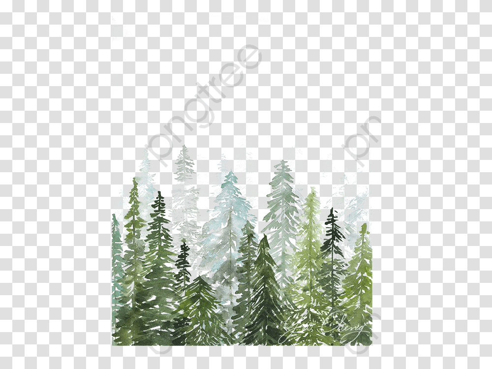 Banner Black And White Woods Clipart Forest Watercolor Pine Tree Forest, Plant, Fir, Abies, Ornament Transparent Png