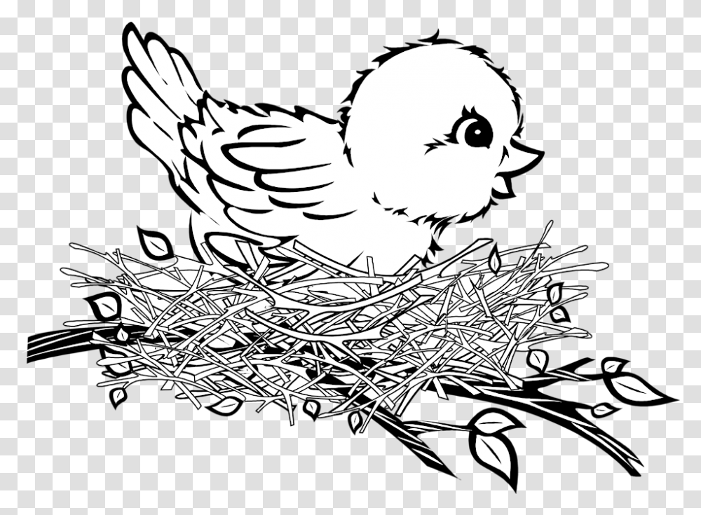 Banner Cartoon Birds Patterns Bird In The Nest Clipart Black And White, Animal, Poultry, Fowl, Chicken Transparent Png