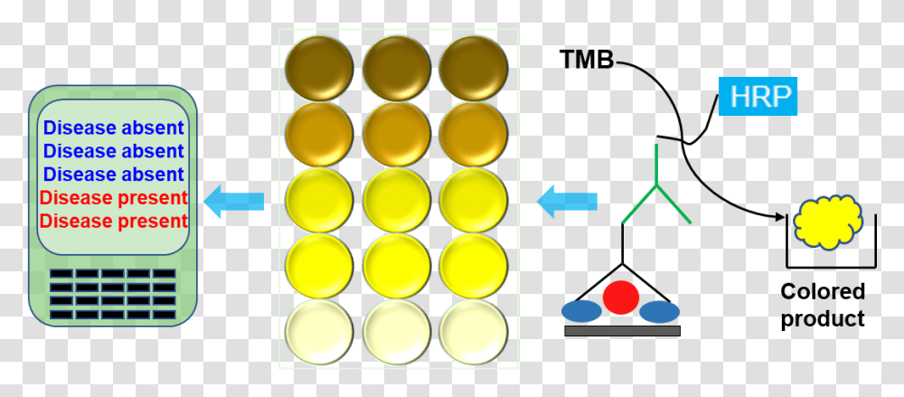 Banner Circle, Light, Traffic Light Transparent Png